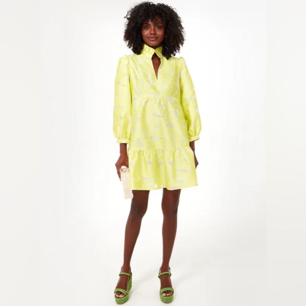TUCKERNUCK Citron Fil Coupe Palmerston Dress Size Small